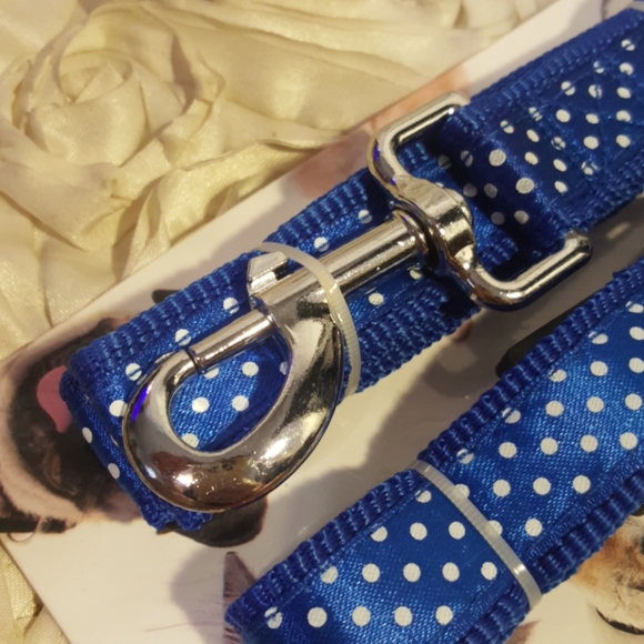 Dog Collar & Leash Set Blue Polka Dot Adjustable Walking Set - Picture 2 of 11